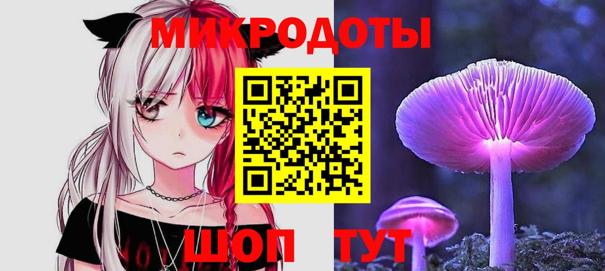 Кудрово  Галлюциногенные грибы Psilocybe  Вход с VPN 