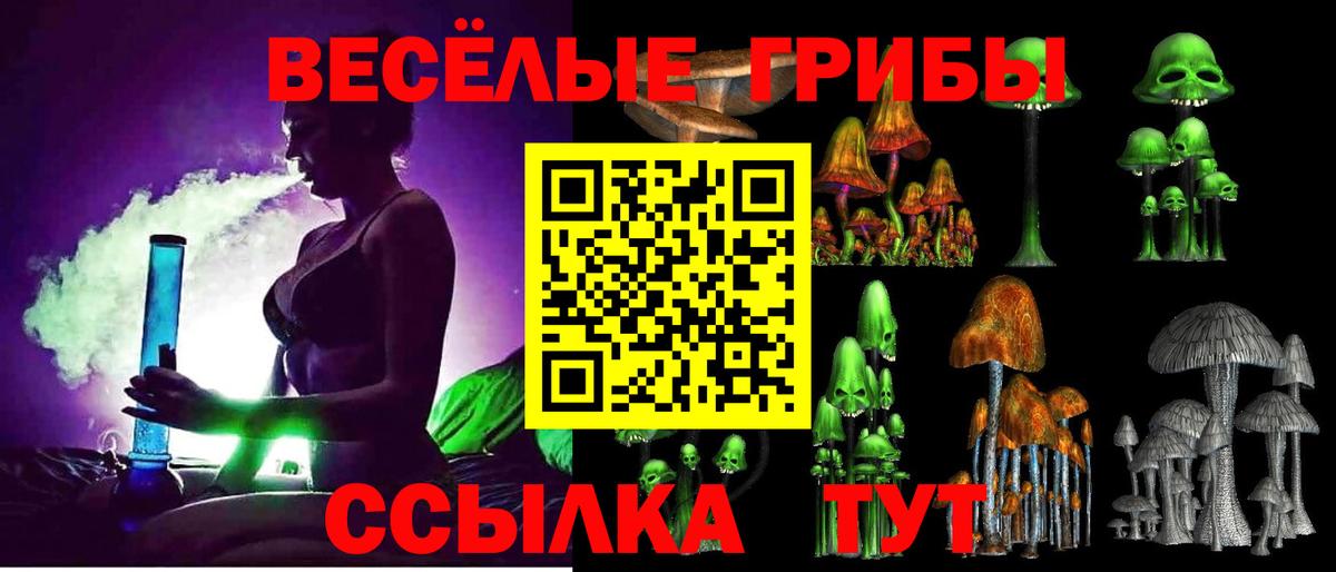 Кудрово  Гашиш  ЭКСТАЗИ  Кокаин  Вход с VPN  МАРИХУАНА  МЕФ кристаллы 